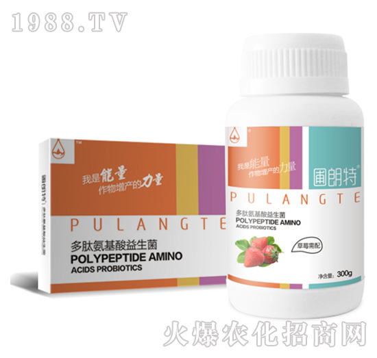 ��ݮ����-���İ�����������-������