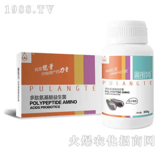 茄子需配-多肽氨基酸益生菌-圃朗特