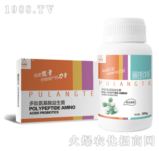 �޻�����-���İ�����������-������