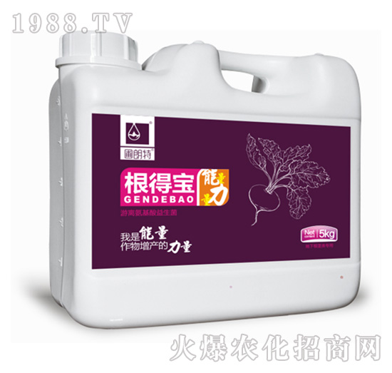 ���Ì�-������