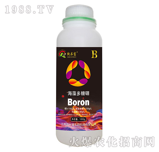 ���������-�P�L(zh��ng)��