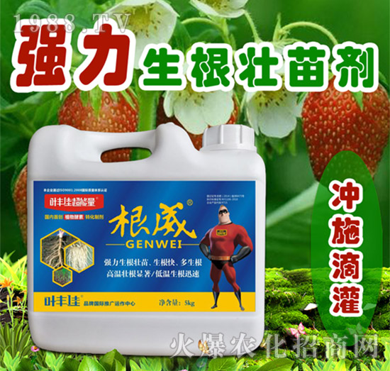 強力生根壯苗劑-根威-葉豐佳超能量