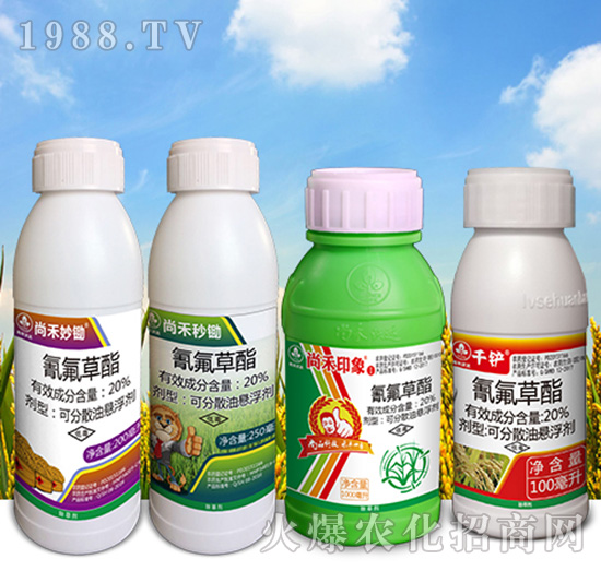 20%�������-�к����_