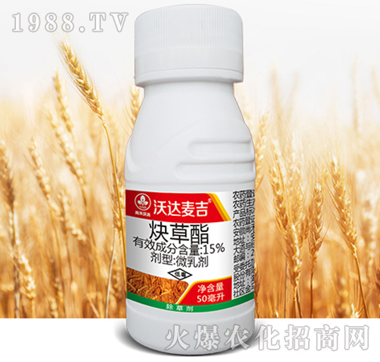 15%Ȳ����-���_����-�к����_