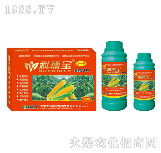 玉米專用營養(yǎng)增產(chǎn)化控劑-玉米矮大棒-科德寶