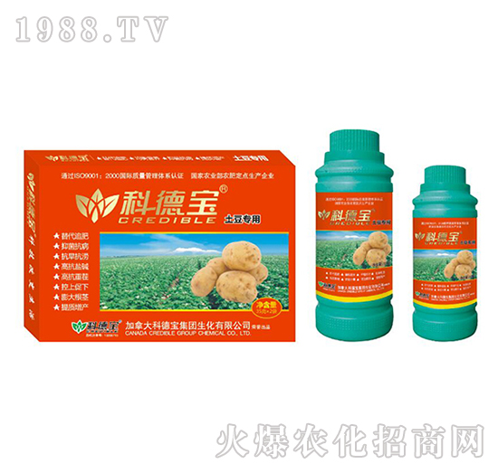 土豆專用營(yíng)養(yǎng)增產(chǎn)調(diào)理劑-科德寶