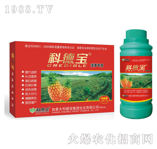 科德寶-菠蘿專(zhuān)用