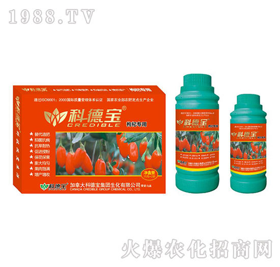 枸杞專用營(yíng)養(yǎng)增產(chǎn)調(diào)理劑-科德寶