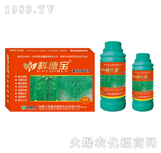 黃瓜豆角專用營(yíng)養(yǎng)增產(chǎn)調(diào)理劑-科德寶