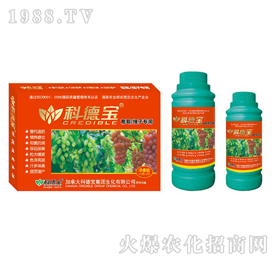 葡萄、提子專用營養(yǎng)增產(chǎn)調(diào)理劑-科德寶