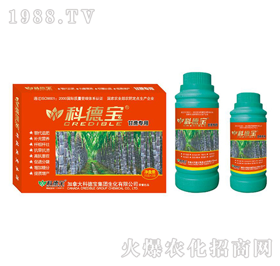 甘蔗專用營(yíng)養(yǎng)增產(chǎn)調(diào)理劑-科德寶