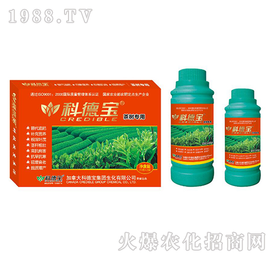 茶樹專用營養(yǎng)增產(chǎn)調理劑-科德寶