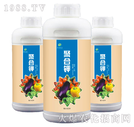 �ۺ��-��(qi��ng)ɭ�r(n��ng)��