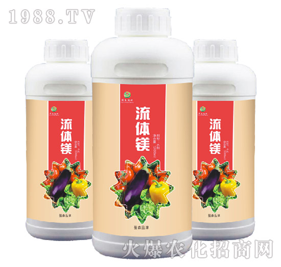 ���w�V-��ɭ�r��