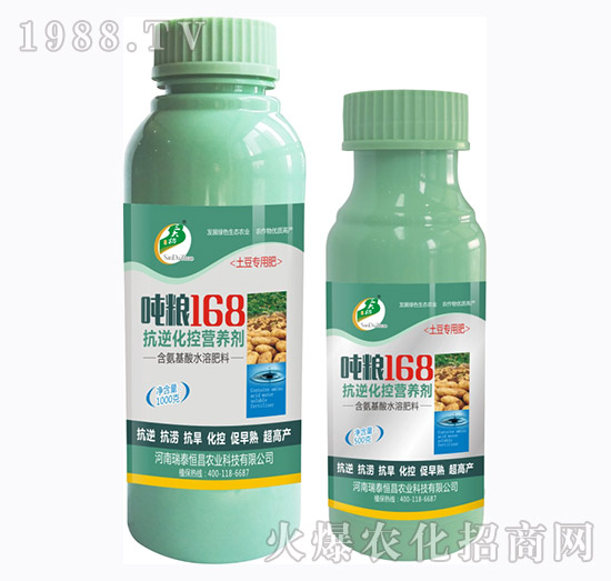 抗逆化控營養(yǎng)劑-噸糧168土豆-瑞泰恒昌