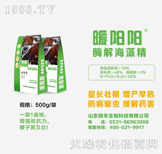 ø�⺣�徧-ů�(y��ng)�(y��ng)-ɭ������