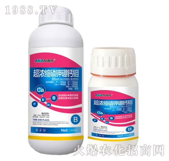 ����s������}�f-�����r(n��ng)