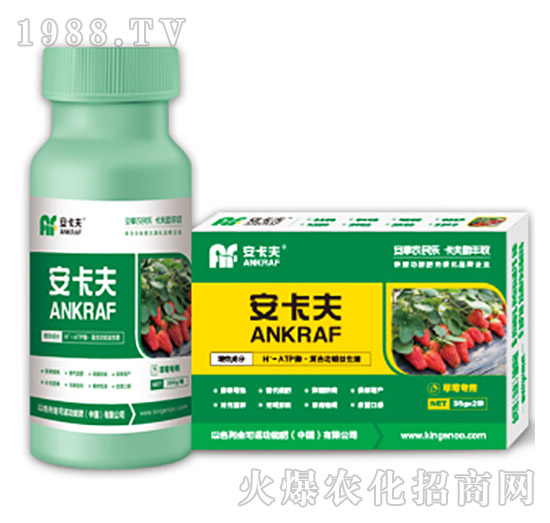 ��ݮ�����~���-������