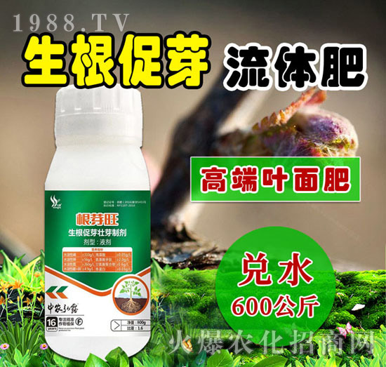 生根促芽流體肥-根芽旺-田小超