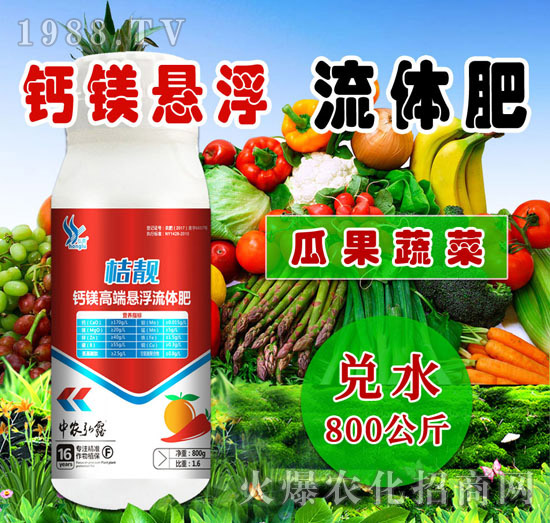 �}�V�߶ˑҸ����w��-���n-��С��