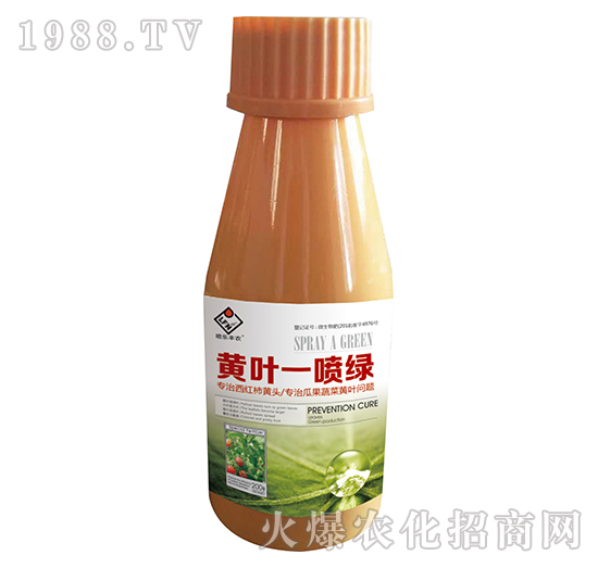 �S�~һ���G-���r����