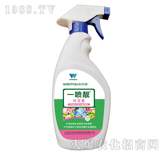 һ���n-�~����-�֠���(y��u)