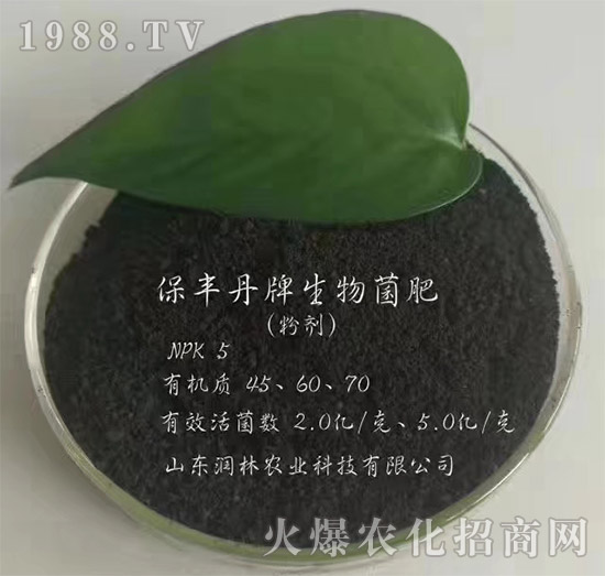 生物菌肥-保豐丹-潤林農(nóng)業(yè)