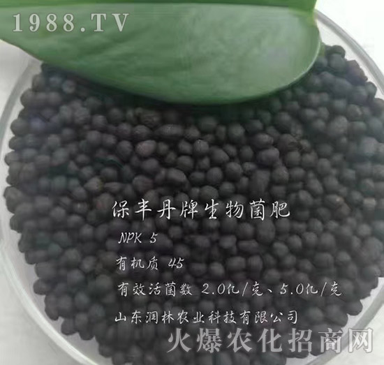 生物菌肥-保豐丹-潤(rùn)林農(nóng)業(yè)