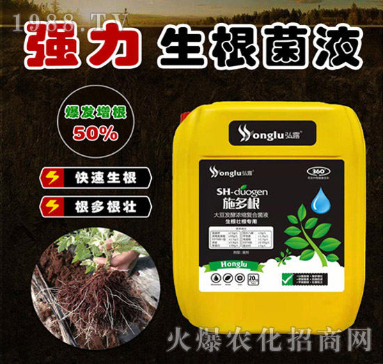 ����������Һ-ʩ���-��С��