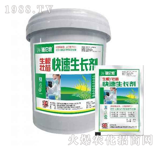 ����������������L��-ʩ����-�W��ɭ