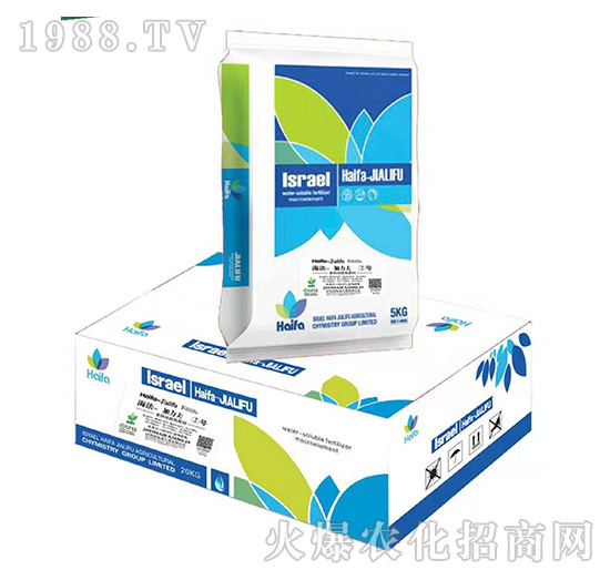 海法加力夫②號-平衡型