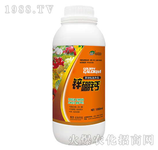 �߻���ֱ�a���\���}-���_��