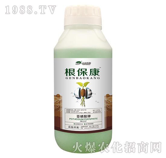 1000g������-���_��