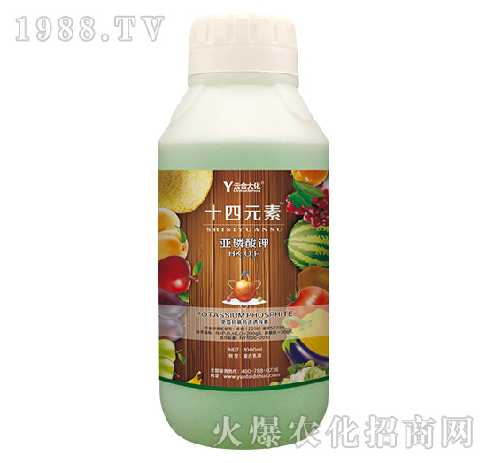 1000gʮ��Ԫ��-���_��