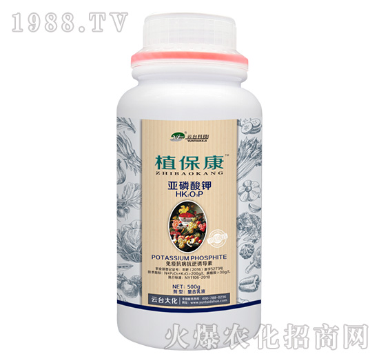 500gֲ����-���_��