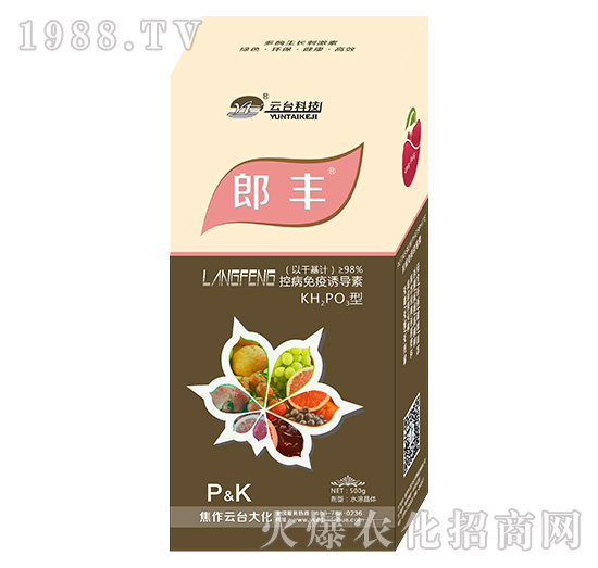 郎豐-云臺(tái)大化