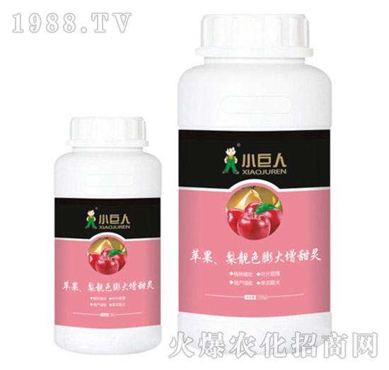 蘋果、梨靚色膨大增甜靈調(diào)節(jié)劑-小巨人