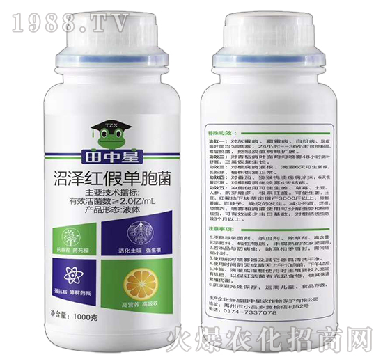 沼澤紅假單胞菌（1000克）-田中星