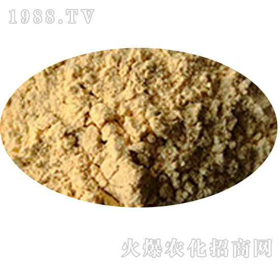 聚谷氨酸-肽和生物