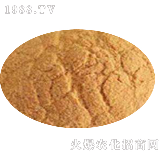 殼寡糖-肽和生物