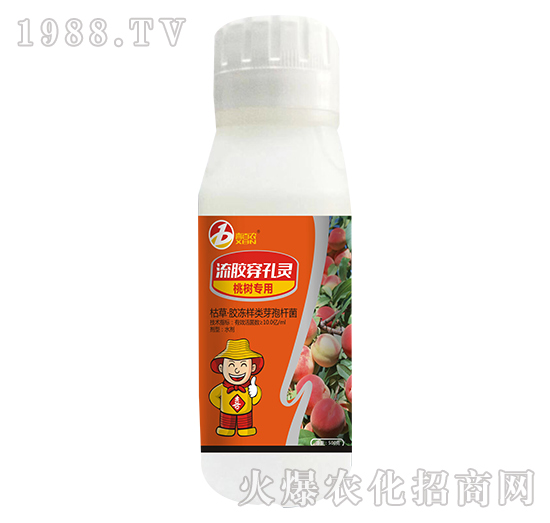 桃樹專用流膠穿孔靈-喜百農-喜蘭特