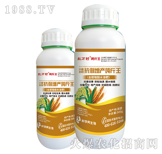 С��ˮ��������-���˹����r(n��ng)��