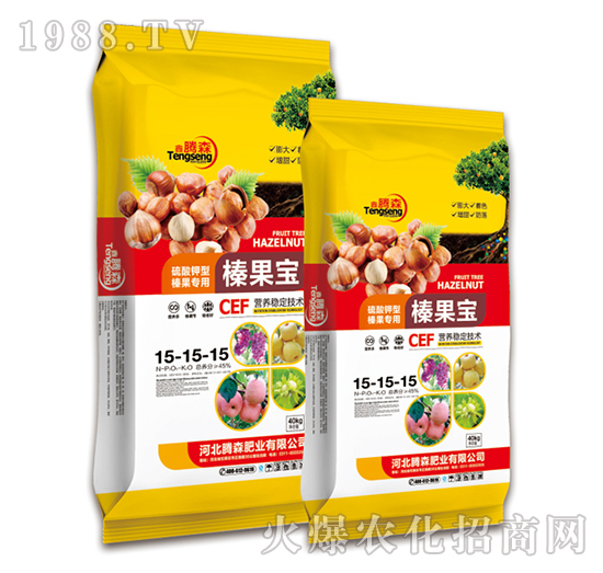 榛果寶-鑫騰森-騰森肥業(yè)