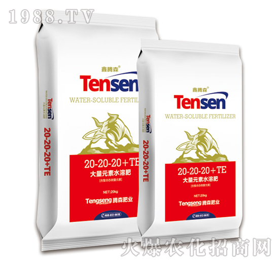 大量元素水溶肥料20-20-20+TE-鑫騰森-騰森肥業(yè)