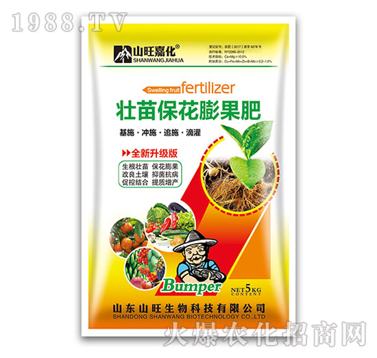 壯苗?；ㄅ蚬?山旺生物