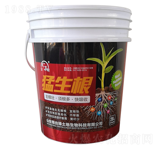 猛生根-金蟾-綠土地