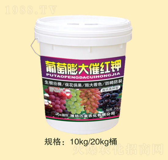 �������߼t�-�fȪ�r(n��ng)��