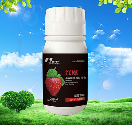 紅媒草莓專用-諾可豐