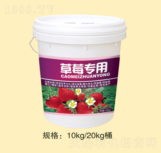 ��ݮ��(zhu��n)��-�f(w��n)Ȫ�r(n��ng)��