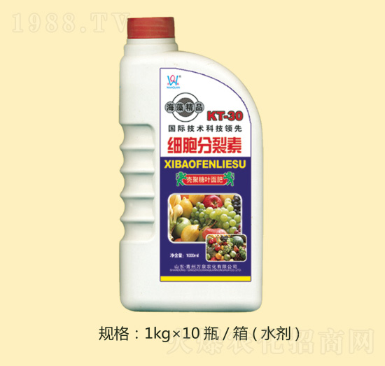 ���徫Ʒ����������-�fȪ�r(n��ng)��